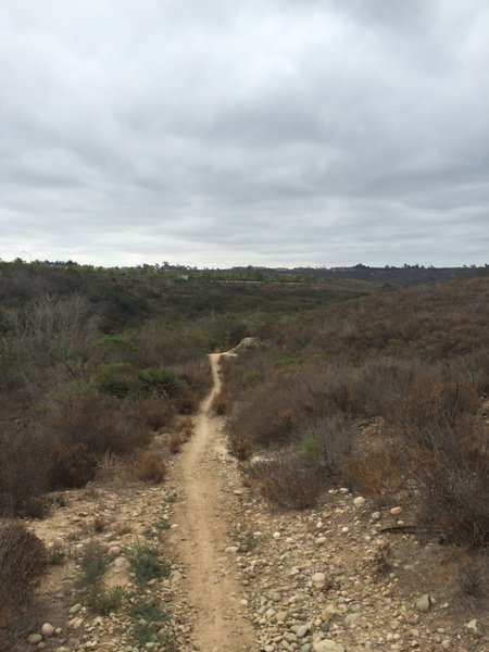 Singletrack to Gonsales Canyon.