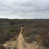 Singletrack to Gonsales Canyon.