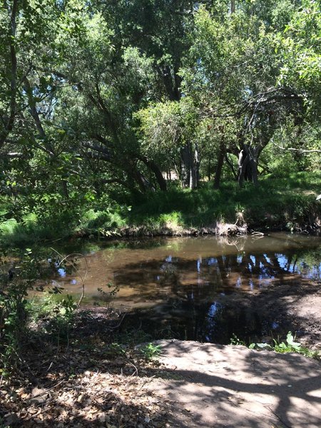 Penasquitos Creek.