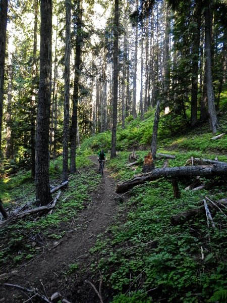 Descending the eastern most trail