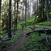 Descending the eastern most trail