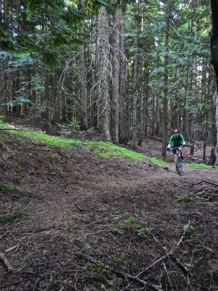 Climbing on Feather Creek Loop Trail