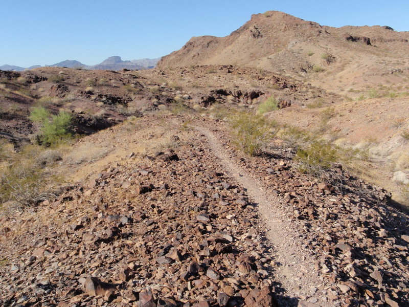 Clear, distinct trail on Watershed Loop