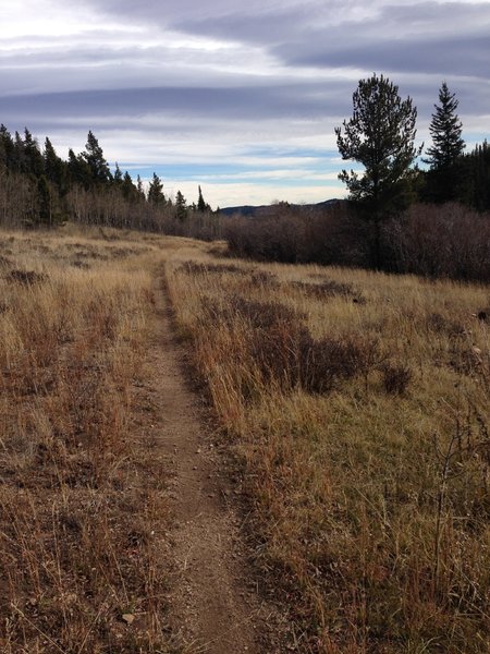 The Lost Meadow is found.