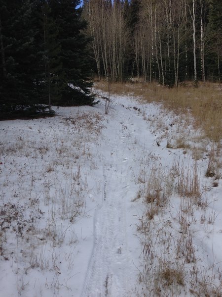 The beginning of Roots and Rocks in late fall condition.