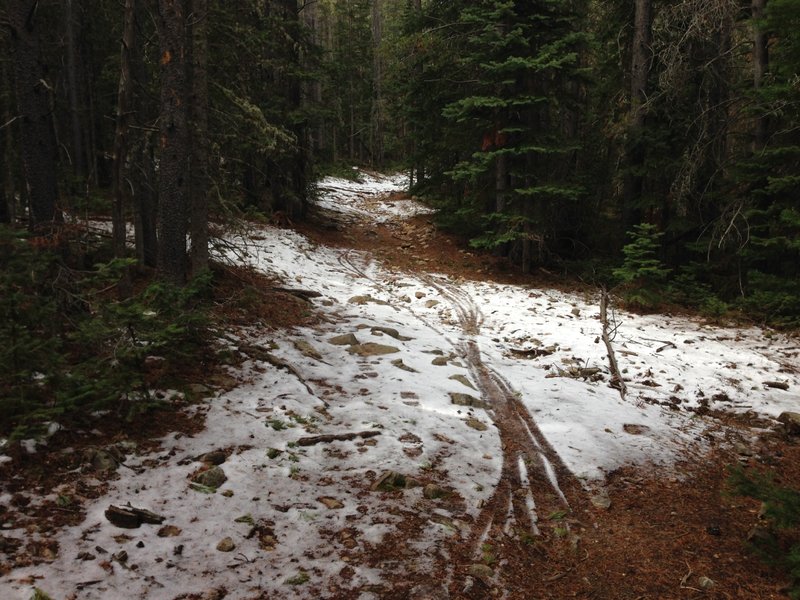 Roots and Rocks is plenty wide but is relentlessly steep and rough.