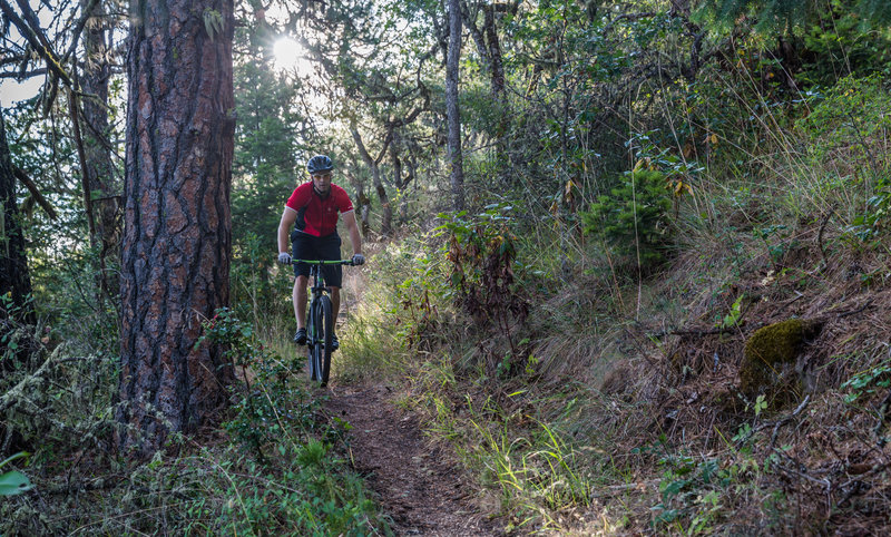 It's all down hill from here on Ponderosa Trail, depending on which direction you're going.