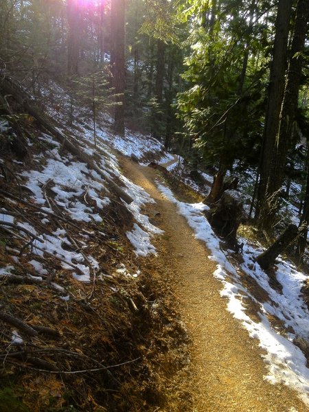 Moscow Mountain Headwaters on a frozen November Day