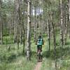 Riding through beautiful aspens on the Colorado Trail up from Kenosha Pass.