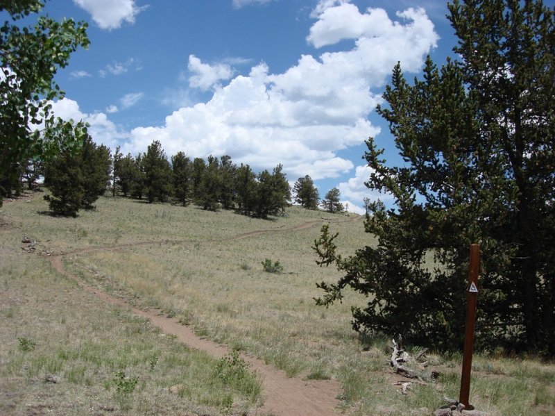 You can still ride east on the Colorado Trail from Kenosha Pass for about 6.5 miles before it's foot traffic only. A challenging out and back ride with gobs of climbs both ways.