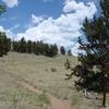 You can still ride east on the Colorado Trail from Kenosha Pass for about 6.5 miles before it's foot traffic only. A challenging out and back ride with gobs of climbs both ways.