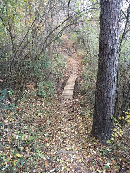 Smoother section of Ivy Ridge