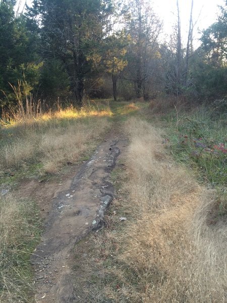 Bedrock outcropping on Outback trail