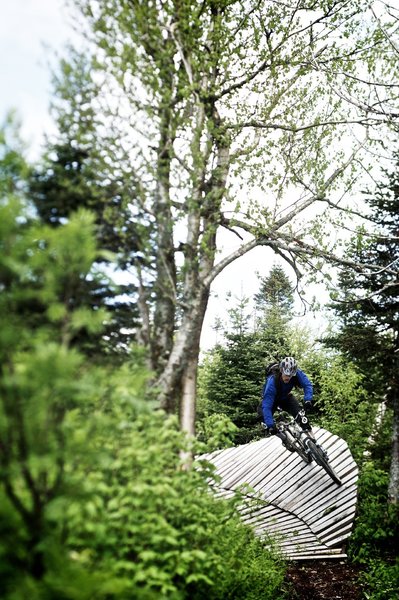 Wooden berm at the top of the Maitrise trail. Photo by Bear Cieri