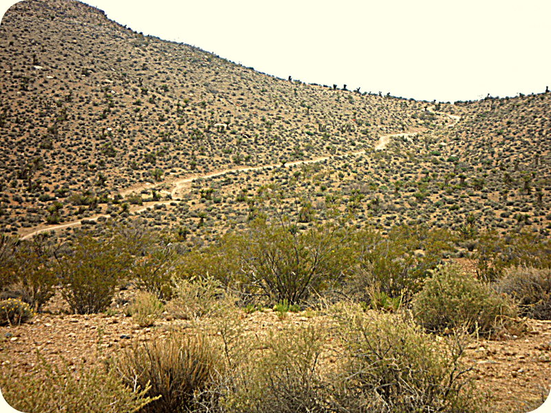 View of the initial climb of Landmine Loop