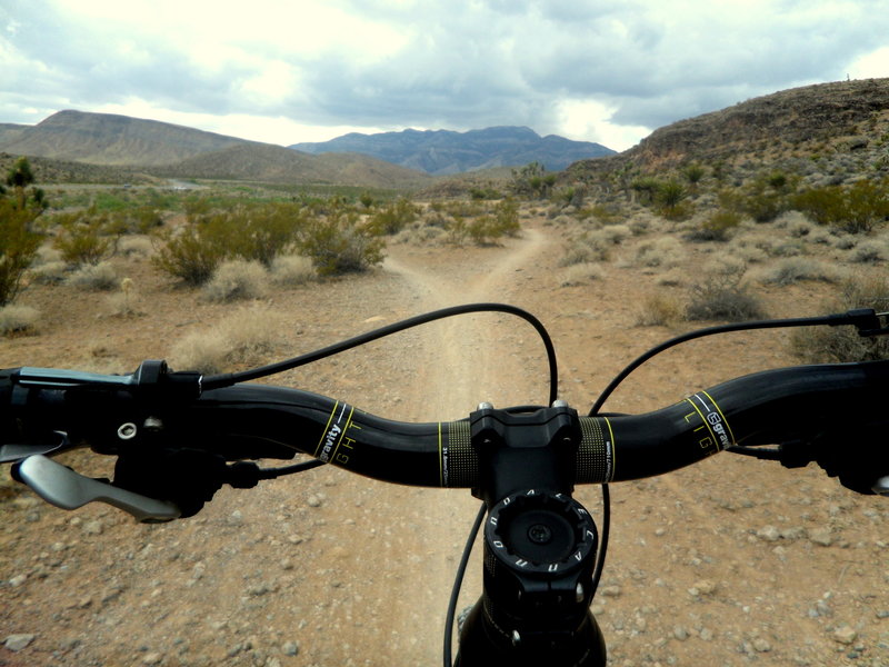 Hang a right to stay on this GPS track or veer left to drop into the wash and reconnect in a short distance. I typically ride left for the fun rock drop. Check your speed if you ride this way as the drop may surprise you.