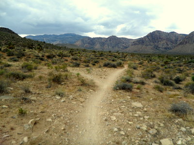 Bank left to climb Lawnmower Saddle. Stay straight to continue on the South Cut to the Inner Loop Trail.