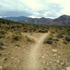 Bank left to climb Lawnmower Saddle. Stay straight to continue on the South Cut to the Inner Loop Trail.