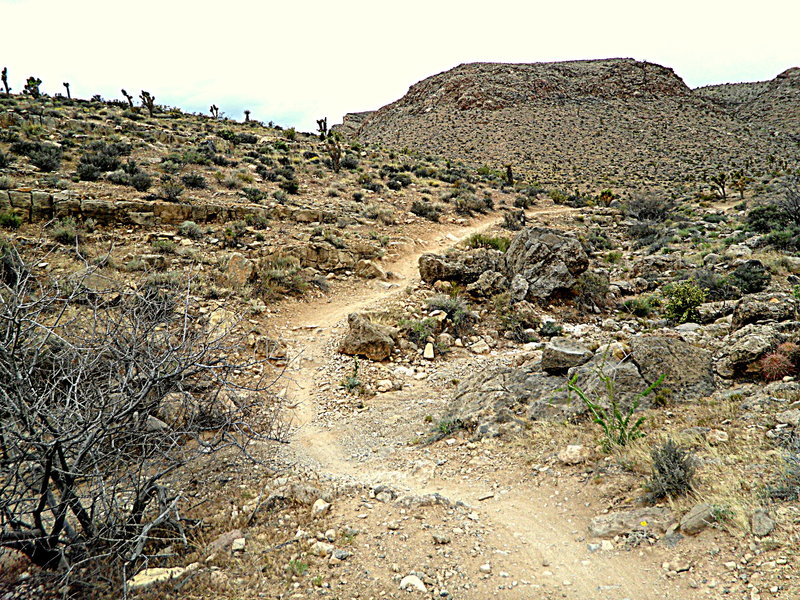 Landmine Loop riding north just past the South Cut Trail