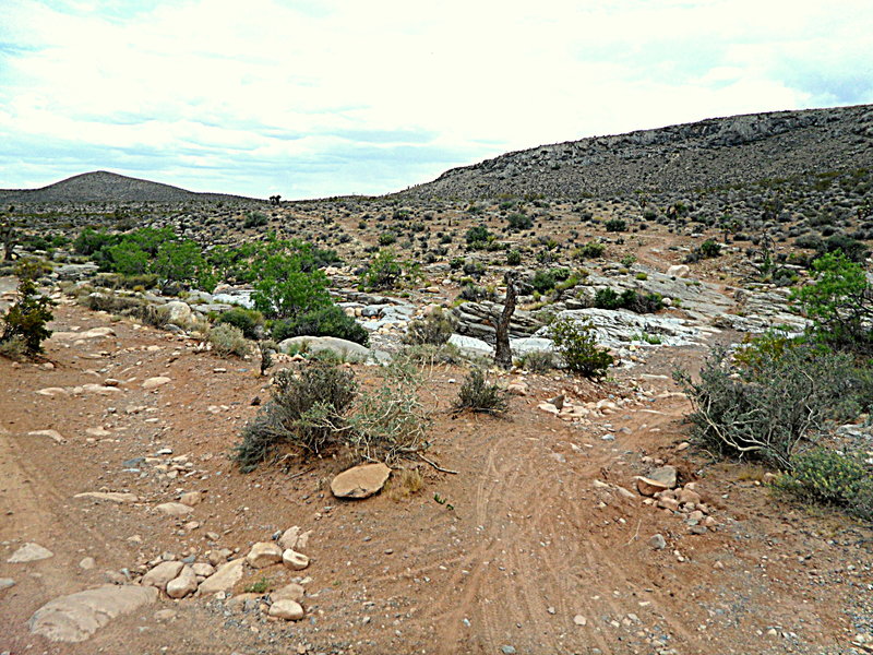The Landmine Connect on the right, Landmine Loop on the Left as seen while riding east.