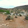 The Landmine Connect on the right, Landmine Loop on the Left as seen while riding east.