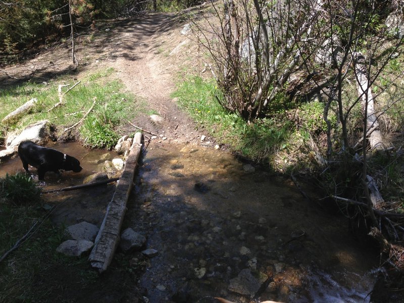 Lots of creek crossings on the anything-but Dry Creek Trail