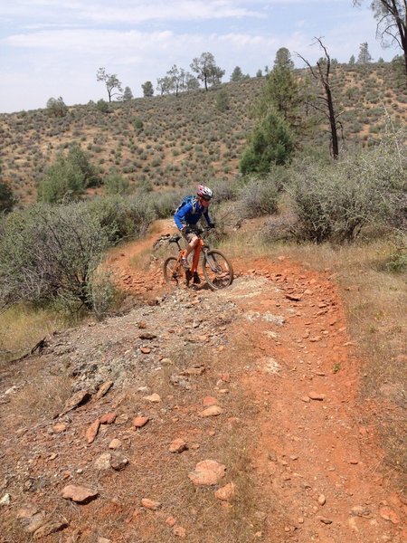 Curtis romping at Red Hills, getting up an easier rocky singletrack section