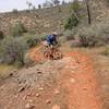 Curtis romping at Red Hills, getting up an easier rocky singletrack section