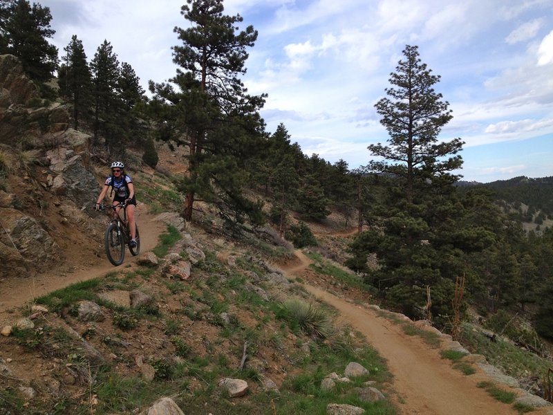 Sweet smooth singletrack through rough terrain!