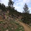 Sweet smooth singletrack through rough terrain!