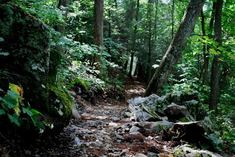 Rocky Branch Trail