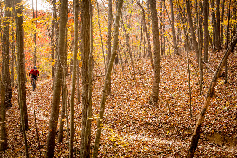 Fall colors at Chicopee Woods