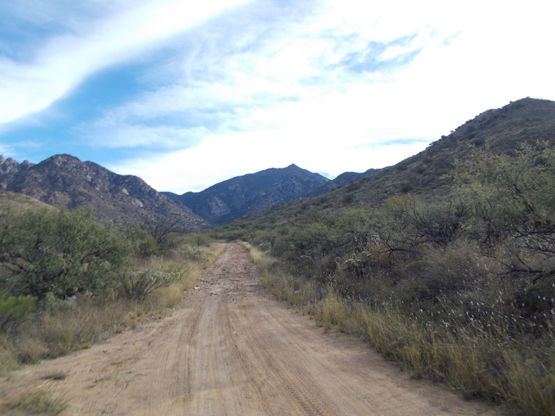 Heading up in to the hills.