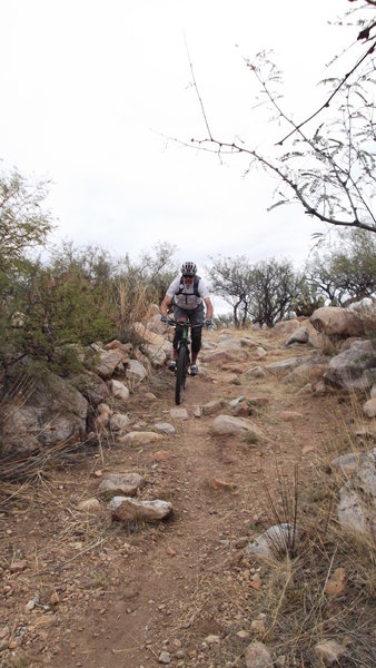 One spot on Elephant Head Trail to test your techy downhill skills.