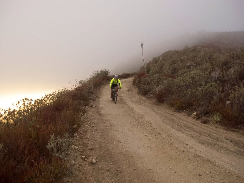 Emerging from the clouds coming down the Mt. Lukens Fire Station trail.