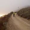 Emerging from the clouds coming down the Mt. Lukens Fire Station trail.