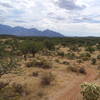 Looking south east.  Typical terrain on Honeybee Canyon Loop after turning right at the first fork: more grass and low trees.