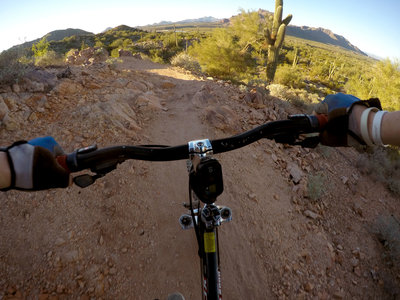 Cruisin' down Upper Ridge Trail