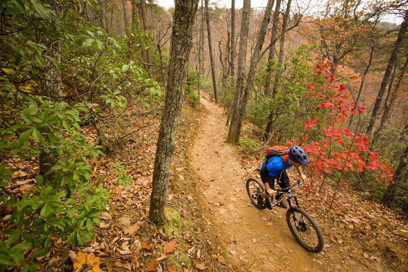 Kanuga mountain hot sale bike park