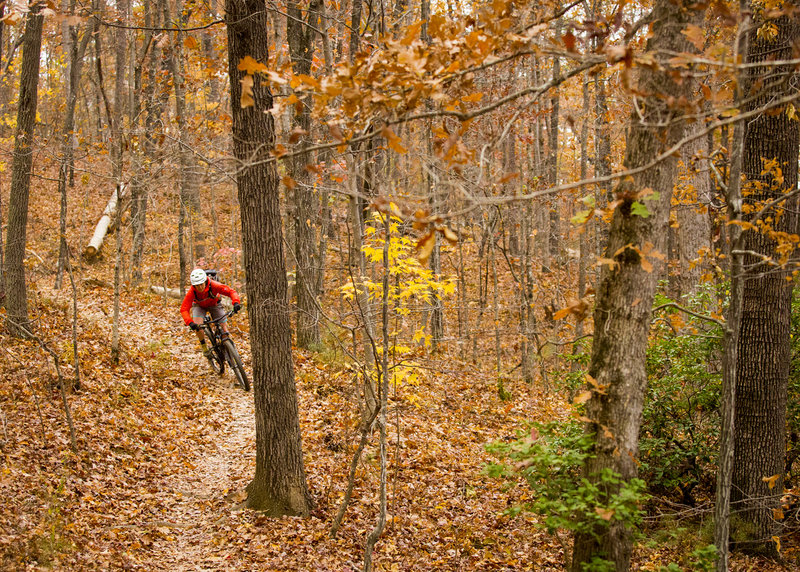 There's plenty of flow on the North Lake trail.