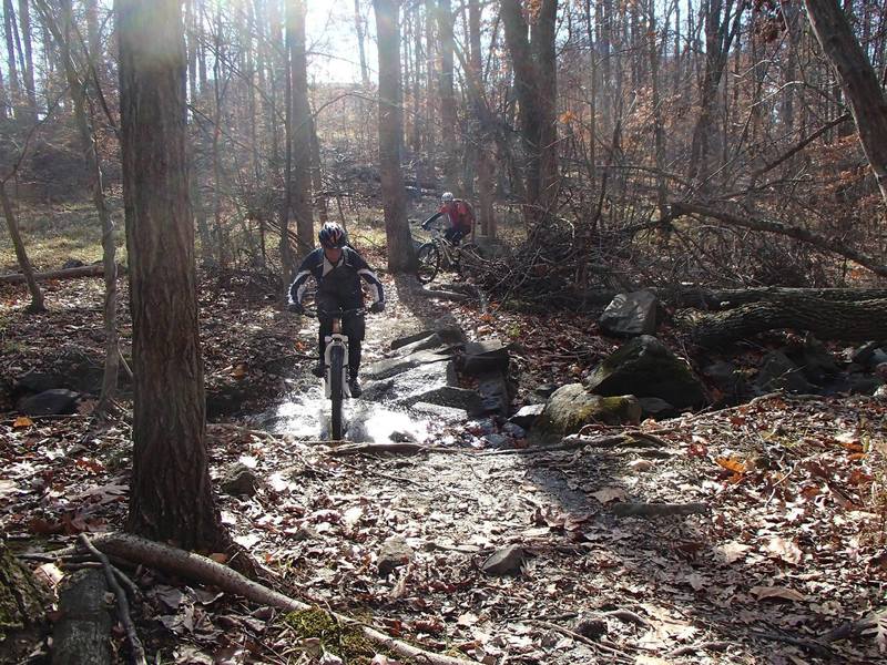 Stream crossing in the "Devil's Horns" section of Pickall Trail