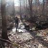 Stream crossing in the "Devil's Horns" section of Pickall Trail