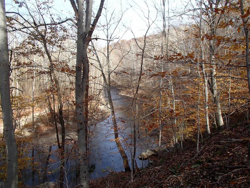 Nice trailside view of the Patapsco River from Pickall Trail