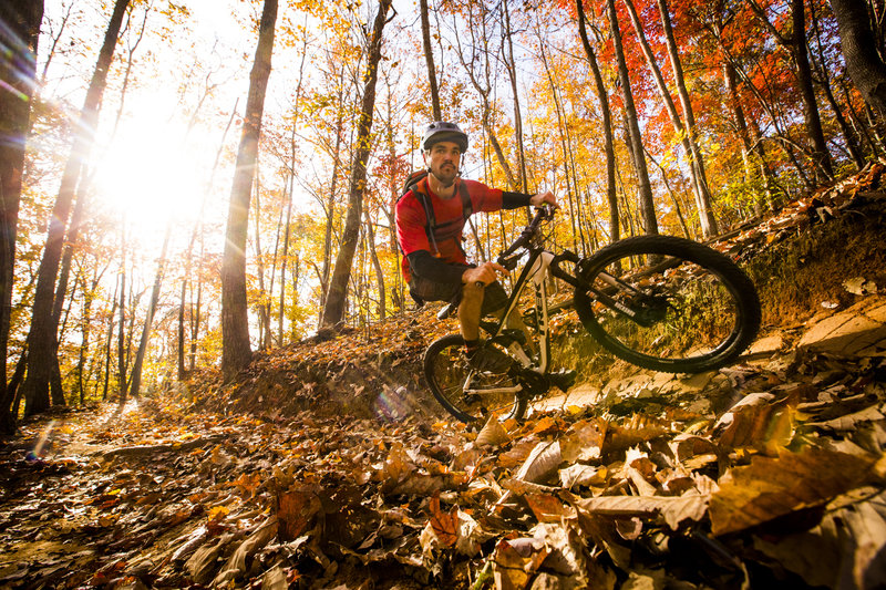 White Tail Trail has some fun berms early in the ride.