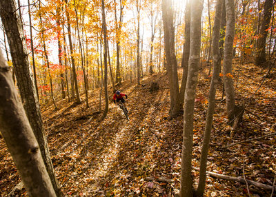 Mountain Bike Trails near Chicopee Woods