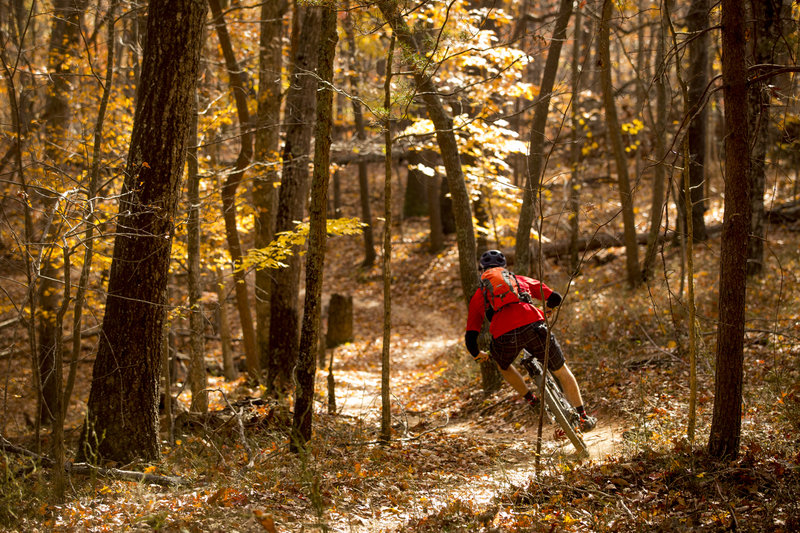 Cruising on Flying Squirrel trail.