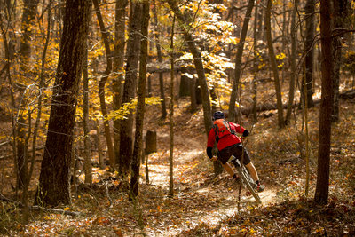 Mountain Bike Trails near Chicopee Woods