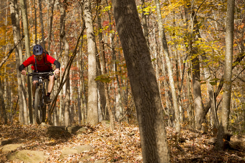 White Tail trail has a few rowdy sections of rocks.