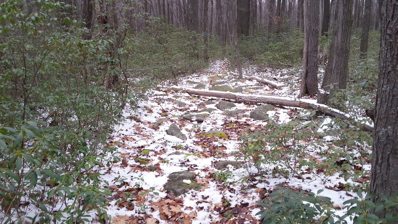 One of the larger rock gardens on the Coupler Run - Tar Kiln Connector.