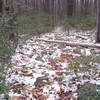 One of the larger rock gardens on the Coupler Run - Tar Kiln Connector.